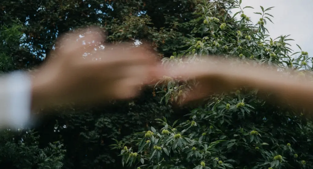 Nahaufnahme von zwei Händen, die sich vor Bäumen berühren – freie Trauung, Verbindung & Liebe